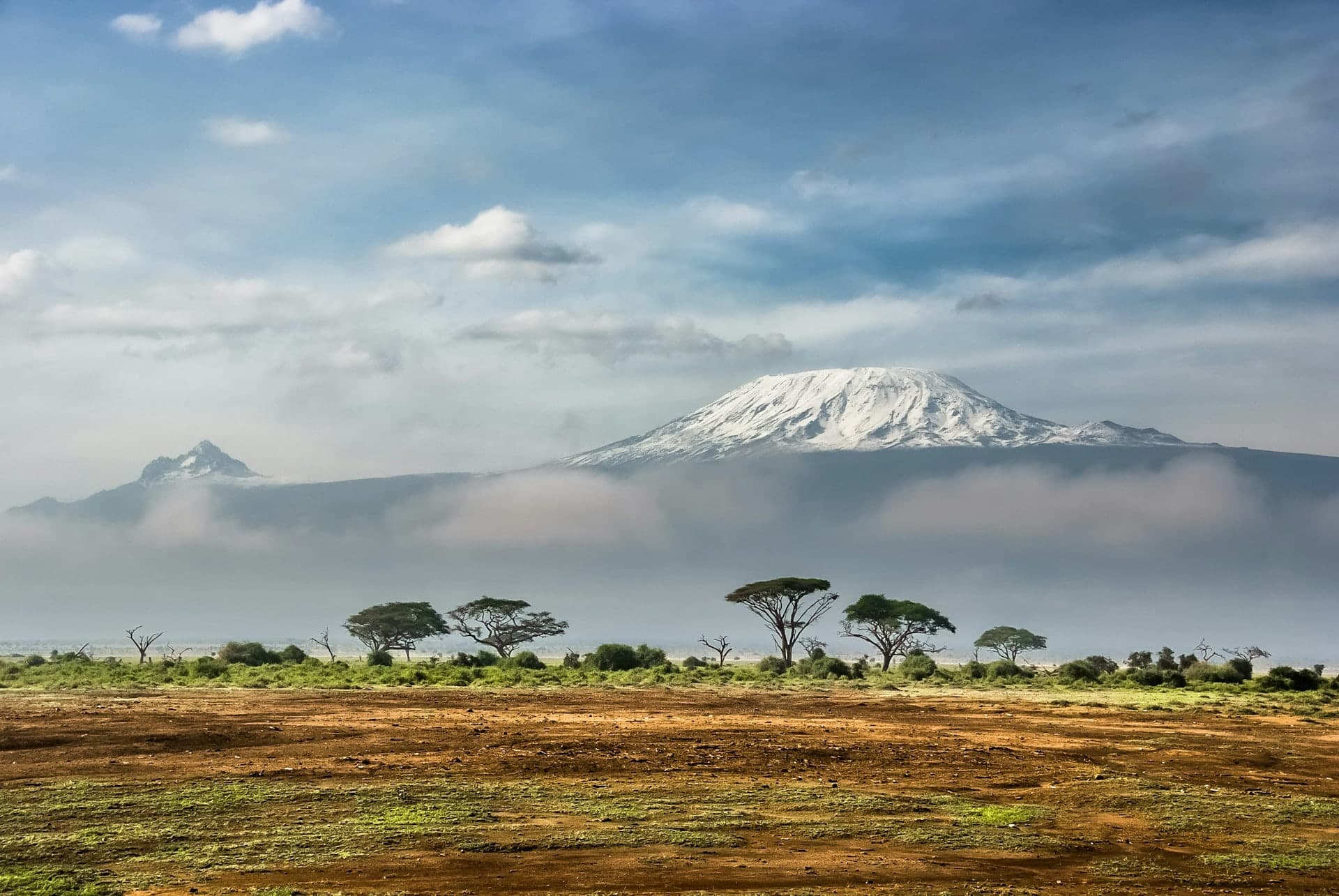 Kilimanjaro's snow cap above cloud, flat Amboseli plain in front
